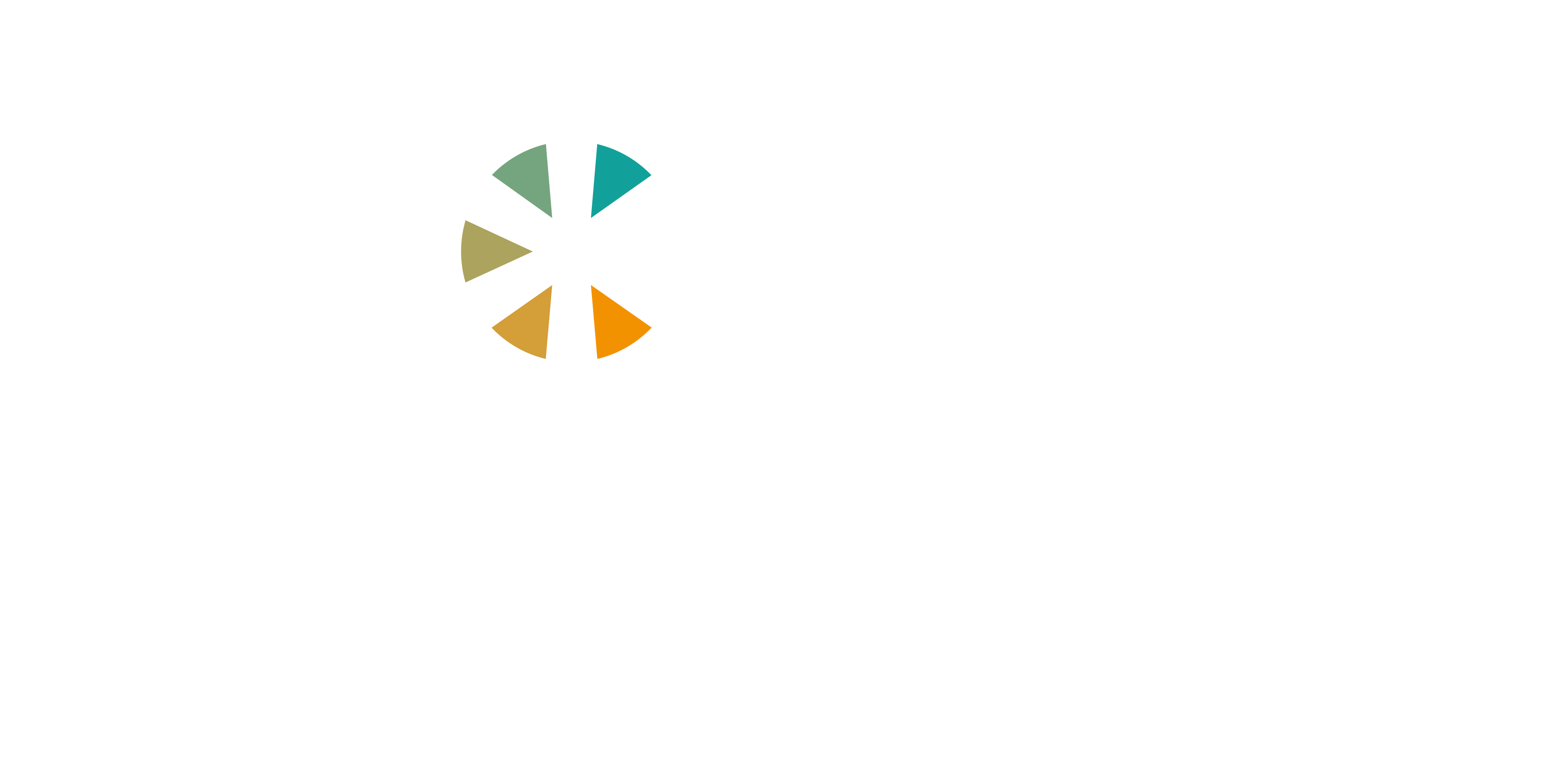 One Team Consulting